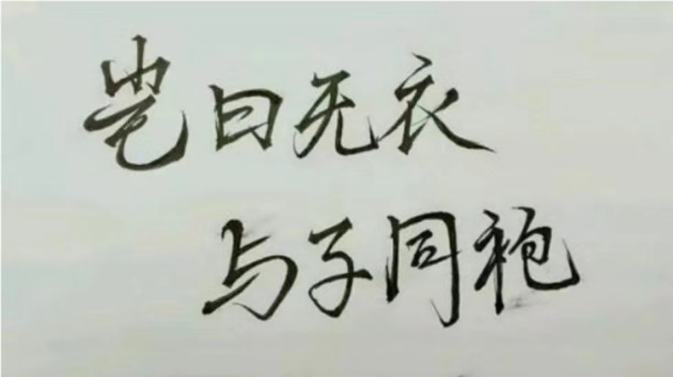 点击查看大图